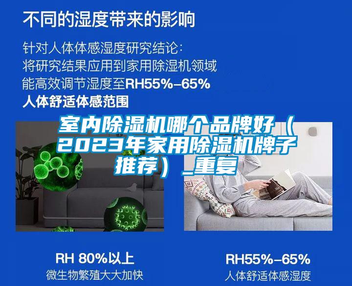 国产精品三级在线观看 室内除湿机哪个品牌好（2023年家用除湿机牌子推荐）_重复