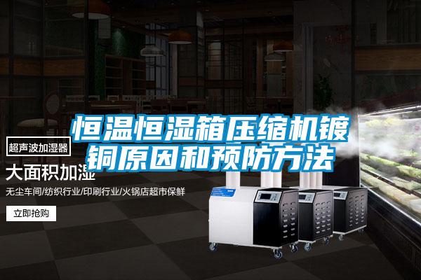 国产精品探花在线观看 恒温恒湿箱压缩机镀铜原因和预防方法