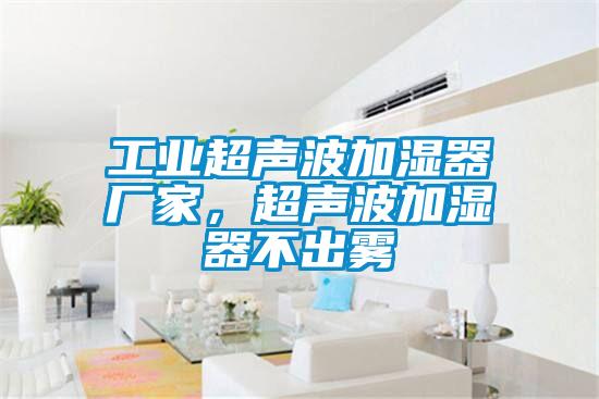 国产精品欧美激情视频 工业超声波加湿器厂家，超声波加湿器不出雾