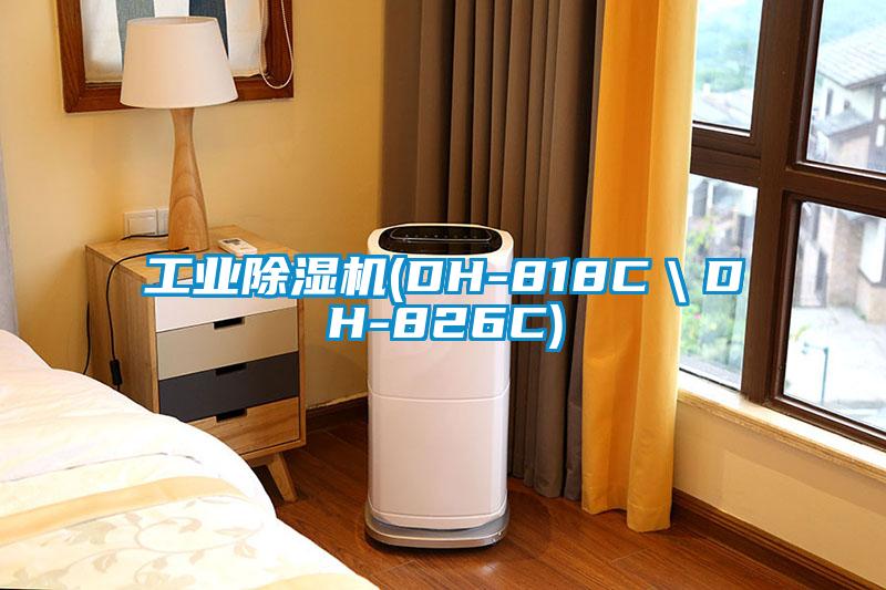 国产精品欧美激情视频 工业除湿机(DH-818C＼DH-826C)