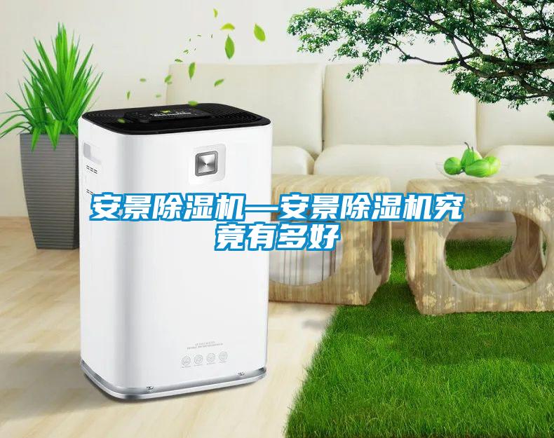 国产精品探花在线观看 安景除湿机—安景除湿机究竟有多好