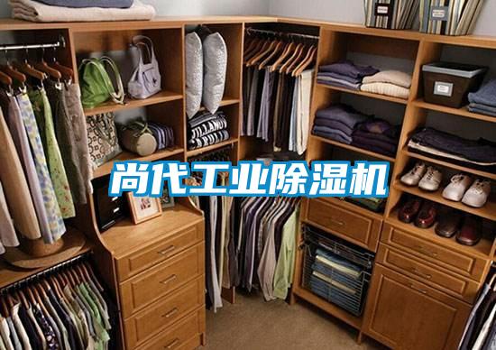 国产精品欧美激情视频 尚代工业除湿机