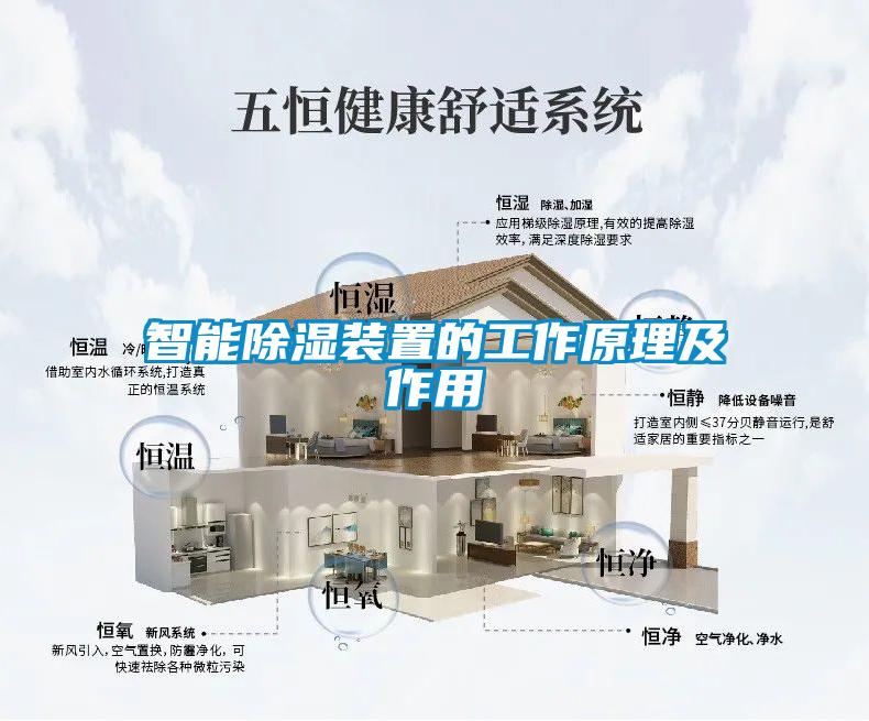国产精品欧美激情视频 智能除湿装置的工作原理及作用
