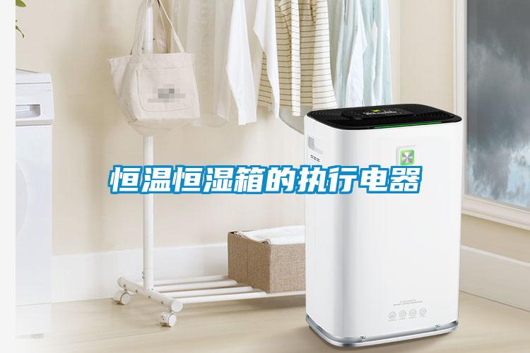 国产精品三级在线观看 恒温恒湿箱的执行电器