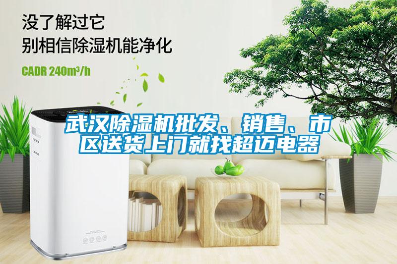 国产精品探花在线观看 武汉除湿机批发、销售、市区送货上门就找超迈电器