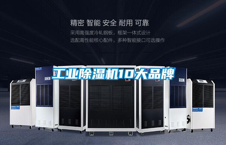国产精品探花在线观看 工业除湿机10大品牌