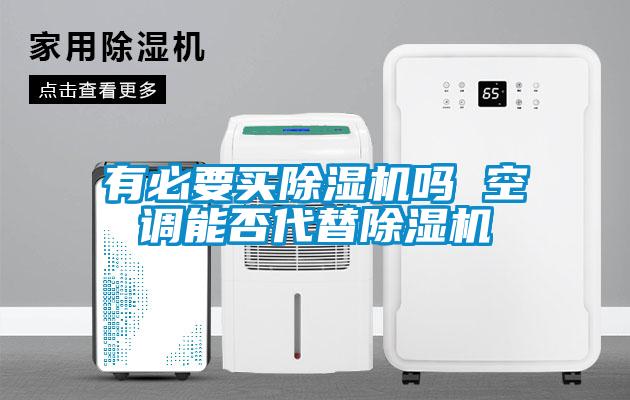 国产精品三级在线观看 有必要买除湿机吗 空调能否代替除湿机