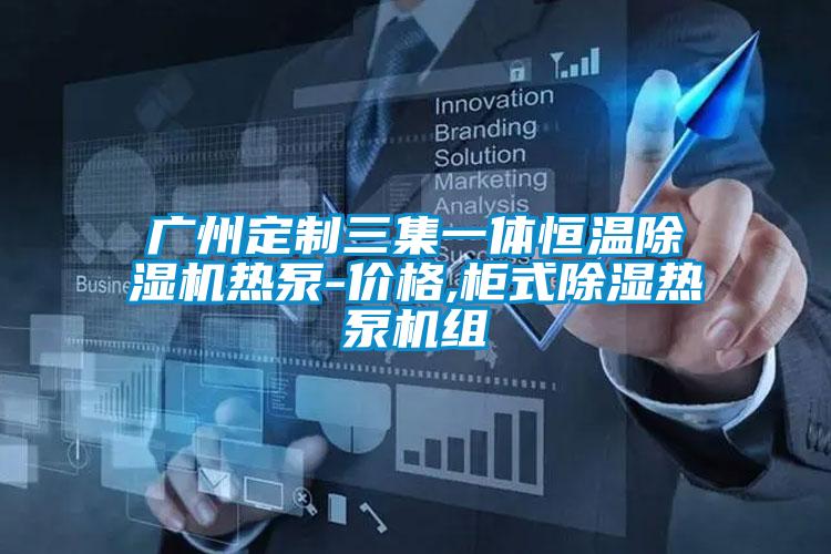国产精品三级在线观看 广州定制三集一体恒温除湿机热泵-价格,柜式除湿热泵机组