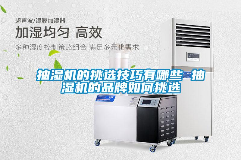 国产精品探花在线观看 抽湿机的挑选技巧有哪些 抽湿机的品牌如何挑选