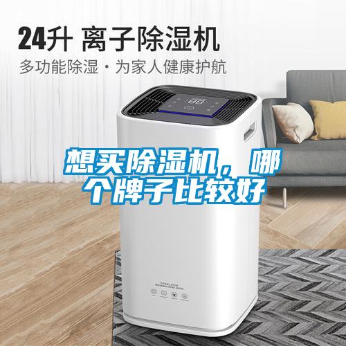 国产精品欧美激情视频 想买除湿机，哪个牌子比较好