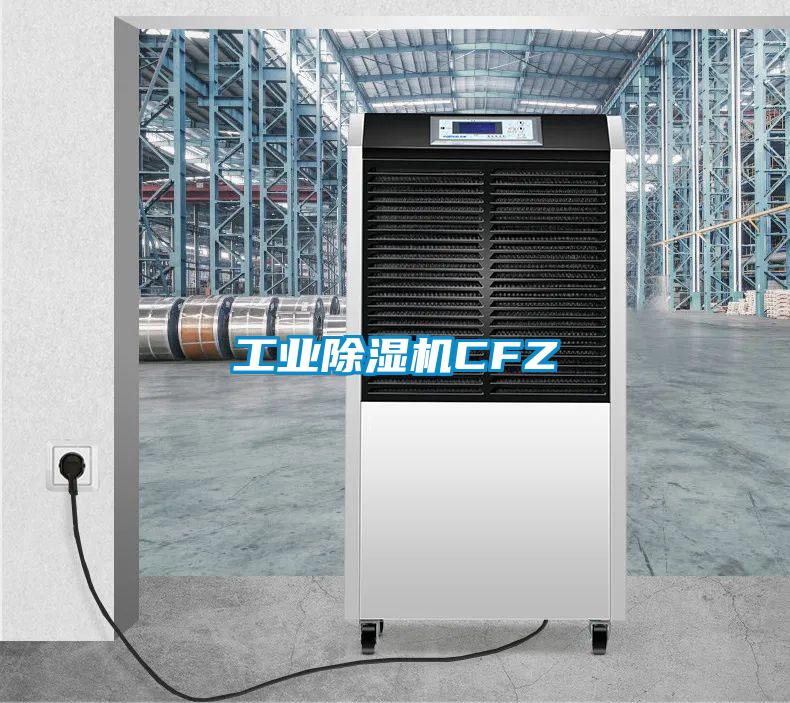 国产精品探花在线观看 工业除湿机CFZ