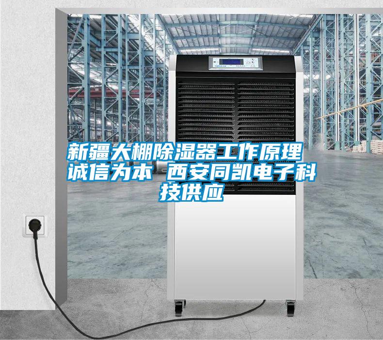 国产精品欧美激情视频 新疆大棚除湿器工作原理 诚信为本 西安同凯电子科技供应