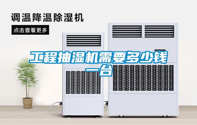国产精品欧美激情视频 工程抽湿机需要多少钱一台