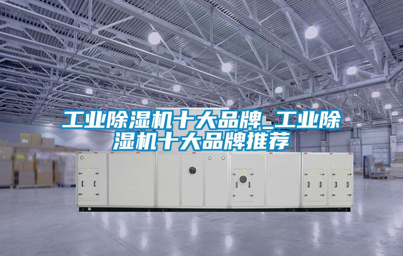 国产精品三级在线观看 工业除湿机十大品牌_工业除湿机十大品牌推荐