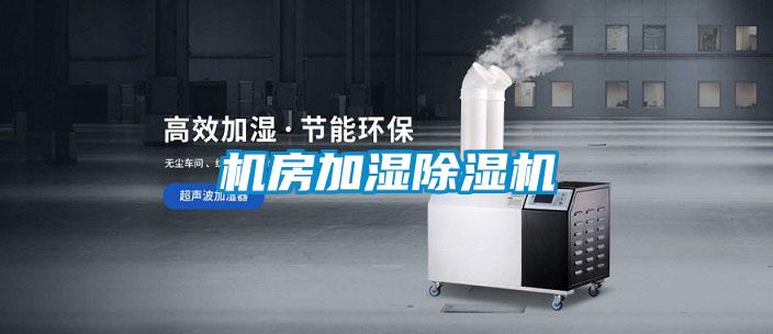 国产精品三级在线观看 机房加湿除湿机