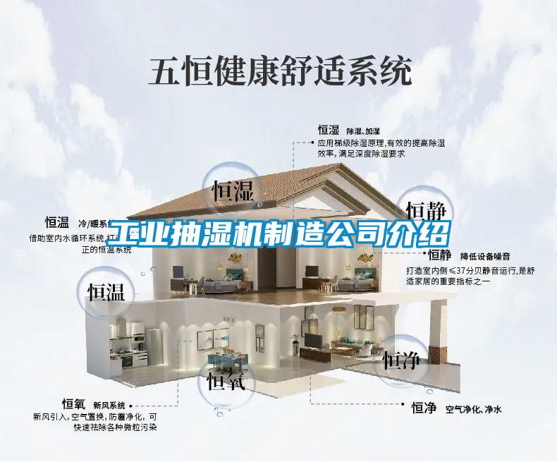 国产精品探花在线观看 工业抽湿机制造公司介绍