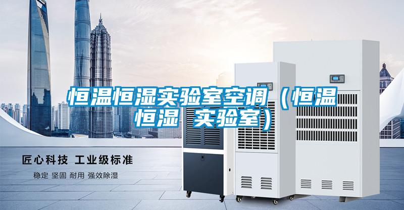 国产精品欧美激情视频 恒温恒湿实验室空调（恒温恒湿 实验室）