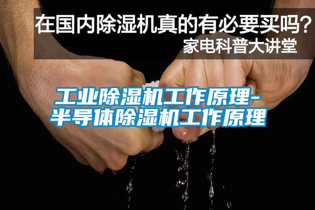 国产精品探花在线观看 工业除湿机工作原理-半导体除湿机工作原理