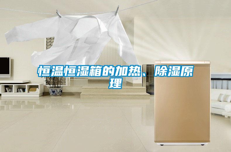 国产精品三级在线观看 恒温恒湿箱的加热、除湿原理