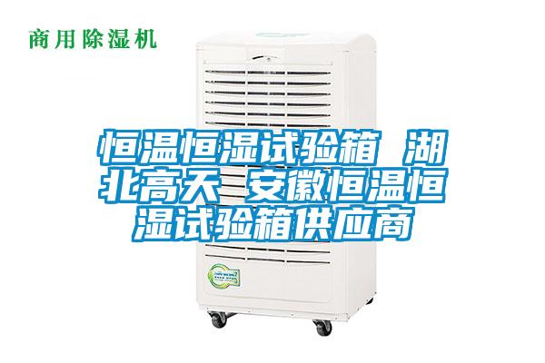 国产精品三级在线观看 恒温恒湿试验箱 湖北高天 安徽恒温恒湿试验箱供应商