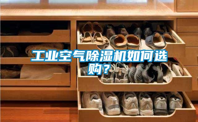 国产精品三级在线观看 工业空气除湿机如何选购？