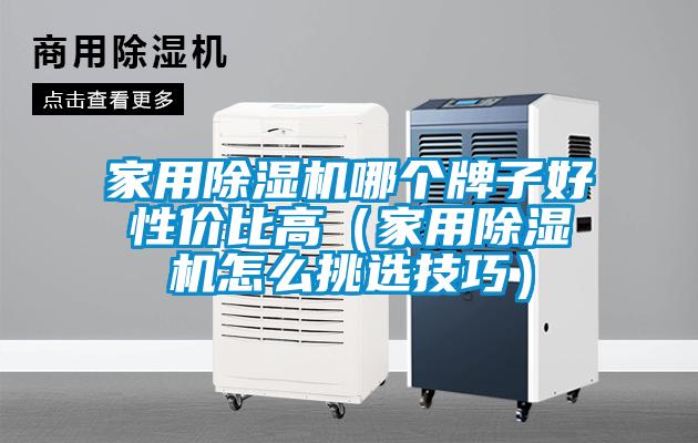 国产精品欧美激情视频 家用除湿机哪个牌子好性价比高（家用除湿机怎么挑选技巧）