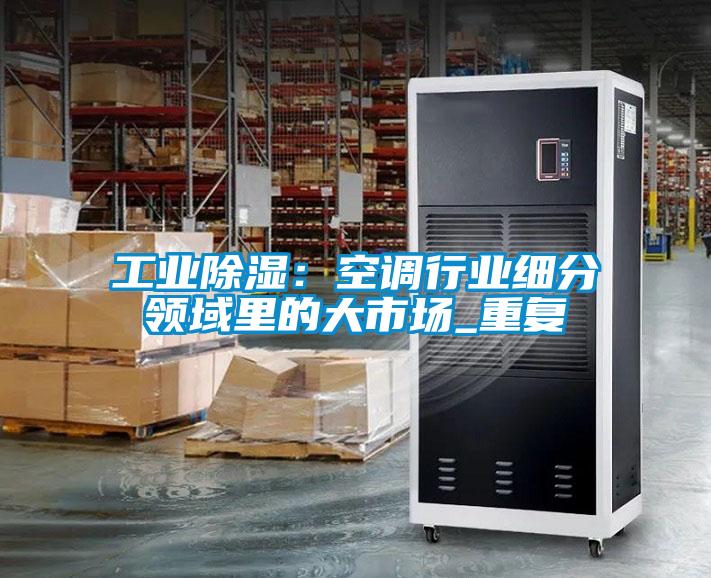 国产精品探花在线观看 工业除湿：空调行业细分领域里的大市场_重复