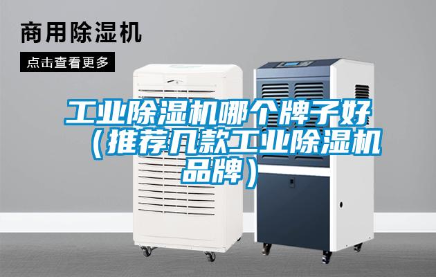 国产精品探花在线观看 工业除湿机哪个牌子好（推荐几款工业除湿机品牌）