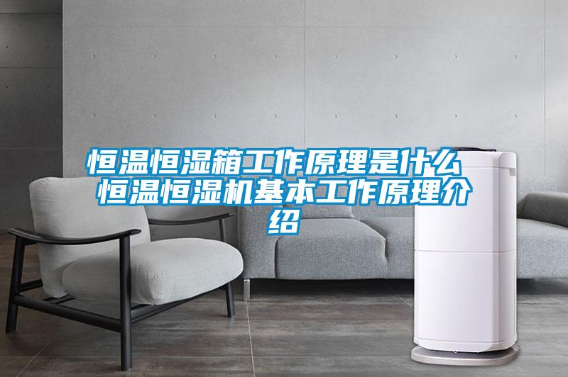 国产精品欧美激情视频 恒温恒湿箱工作原理是什么 恒温恒湿机基本工作原理介绍