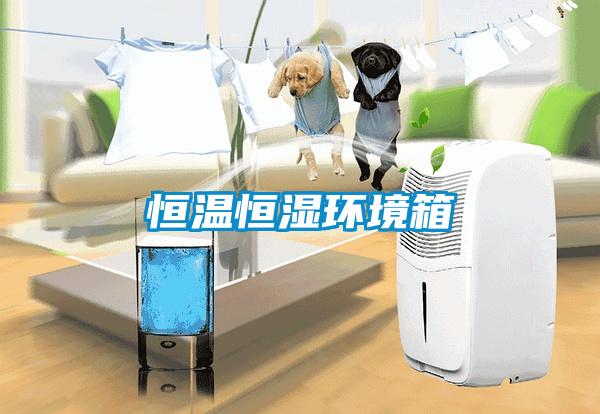 国产精品三级在线观看 恒温恒湿环境箱