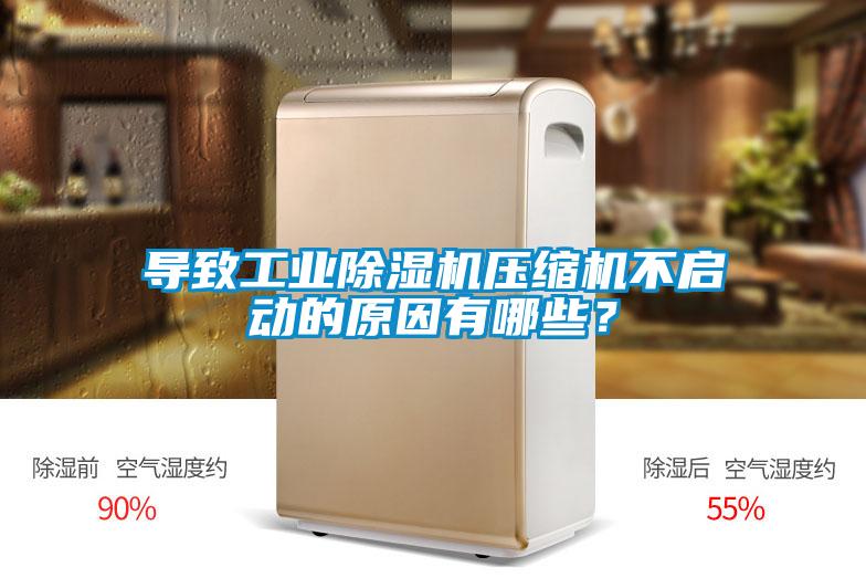 国产精品欧美激情视频 导致工业除湿机压缩机不启动的原因有哪些？