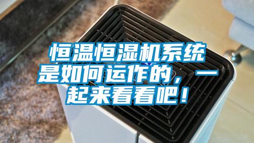 国产精品探花在线观看 恒温恒湿机系统是如何运作的，一起来看看吧！