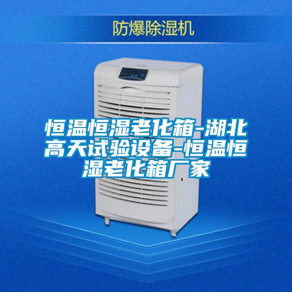 国产精品三级在线观看 恒温恒湿老化箱-湖北高天试验设备-恒温恒湿老化箱厂家