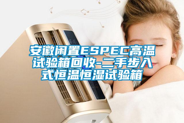 国产精品三级在线观看 安徽闲置ESPEC高温试验箱回收-二手步入式恒温恒湿试验箱