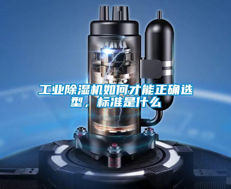 国产精品三级在线观看 工业除湿机如何才能正确选型，标准是什么