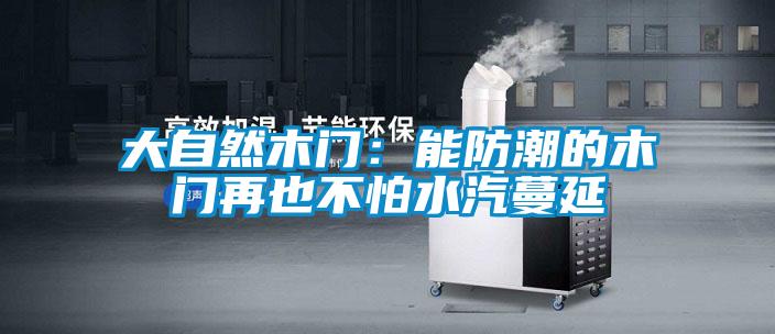 国产精品欧美激情视频 大自然木门：能防潮的木门再也不怕水汽蔓延