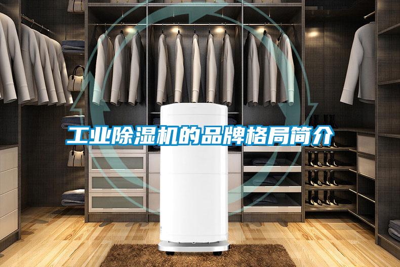 国产精品探花在线观看 工业除湿机的品牌格局简介