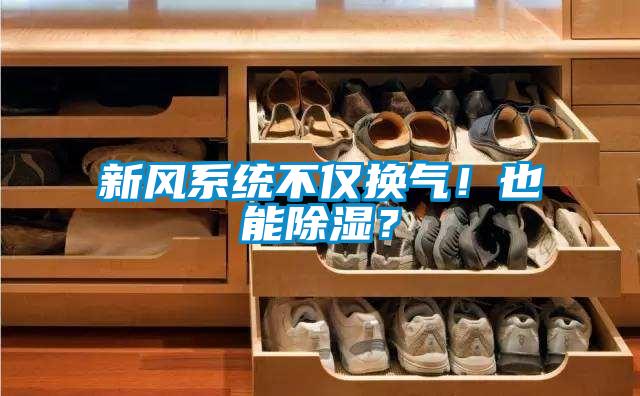 国产精品探花在线观看 新风系统不仅换气！也能除湿？