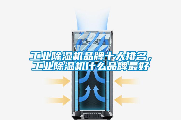 国产精品三级在线观看 工业除湿机品牌十大排名，工业除湿机什么品牌最好