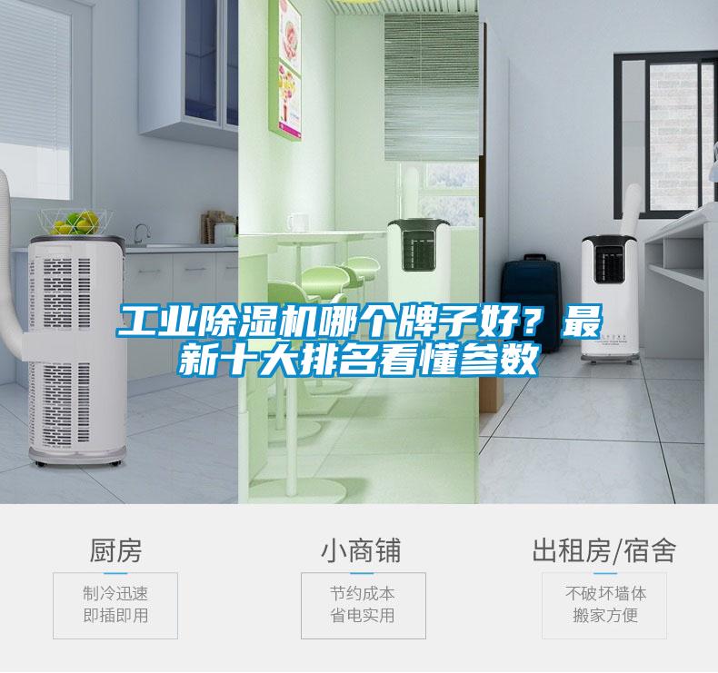 国产精品欧美激情视频 工业除湿机哪个牌子好？最新十大排名看懂参数