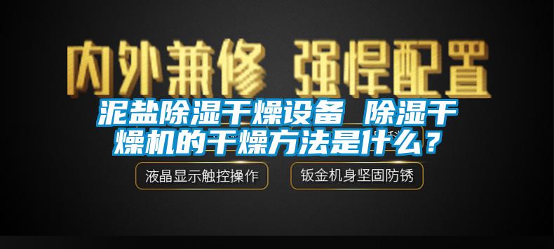 国产精品三级在线观看 泥盐除湿干燥设备 除湿干燥机的干燥方法是什么？