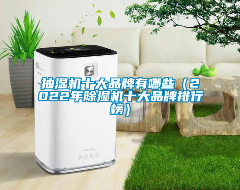 国产精品探花在线观看 抽湿机十大品牌有哪些（2022年除湿机十大品牌排行榜）