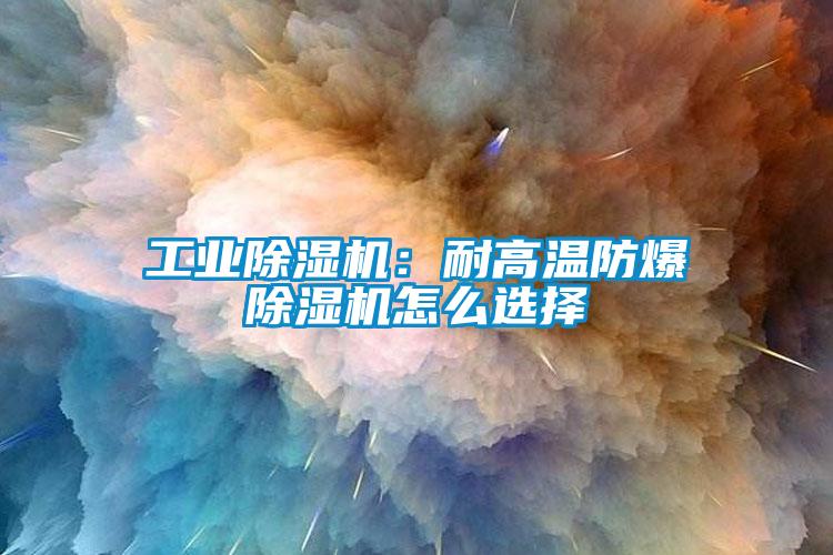 国产精品欧美激情视频 工业除湿机：耐高温防爆除湿机怎么选择