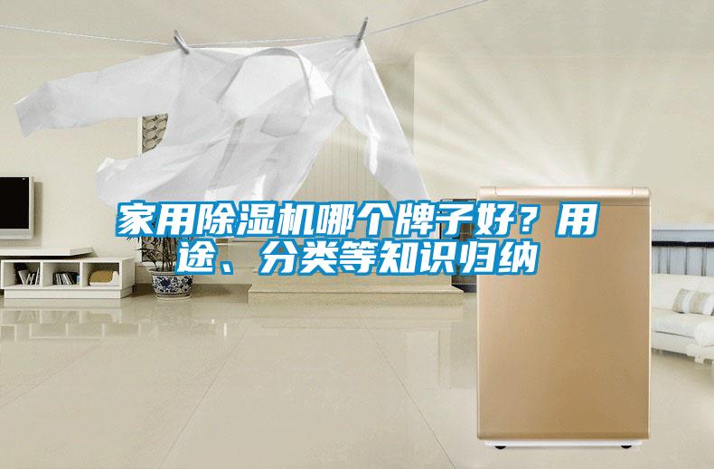 国产精品欧美激情视频 家用除湿机哪个牌子好？用途、分类等知识归纳