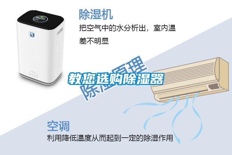 国产精品探花在线观看 教您选购除湿器