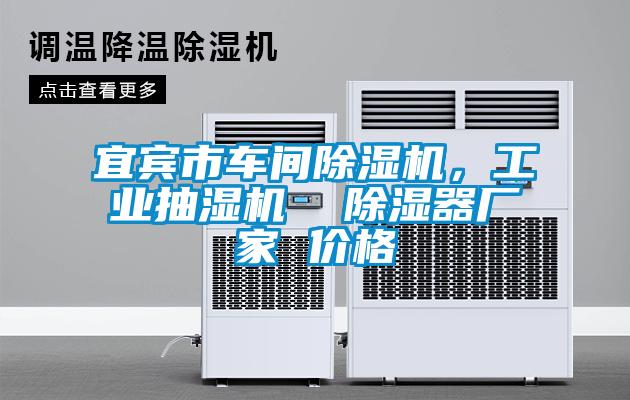国产精品欧美激情视频 宜宾市车间除湿机，工业抽湿机  除湿器厂家 价格