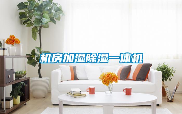 国产精品三级在线观看 机房加湿除湿一体机