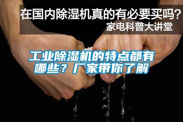 国产精品欧美激情视频 工业除湿机的特点都有哪些？厂家带你了解