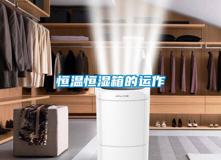 国产精品欧美激情视频 恒温恒湿箱的运作
