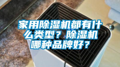 国产精品欧美激情视频 家用除湿机都有什么类型？除湿机哪种品牌好？